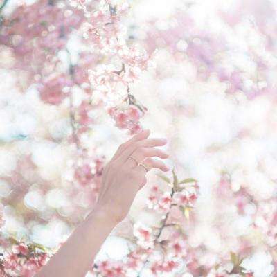 极速赛车信誉老平台